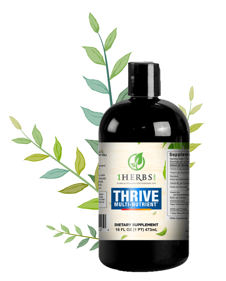 Thrive-product-mockup-botanical-styled-background-06_2021-750x932